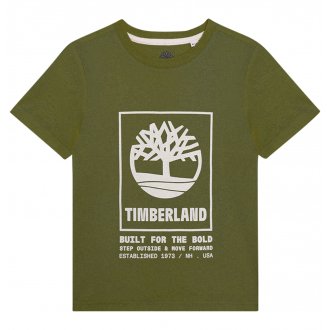 Tee-shirt à col rond Junior Garçon Timberland en coton avec des manches courtes kaki